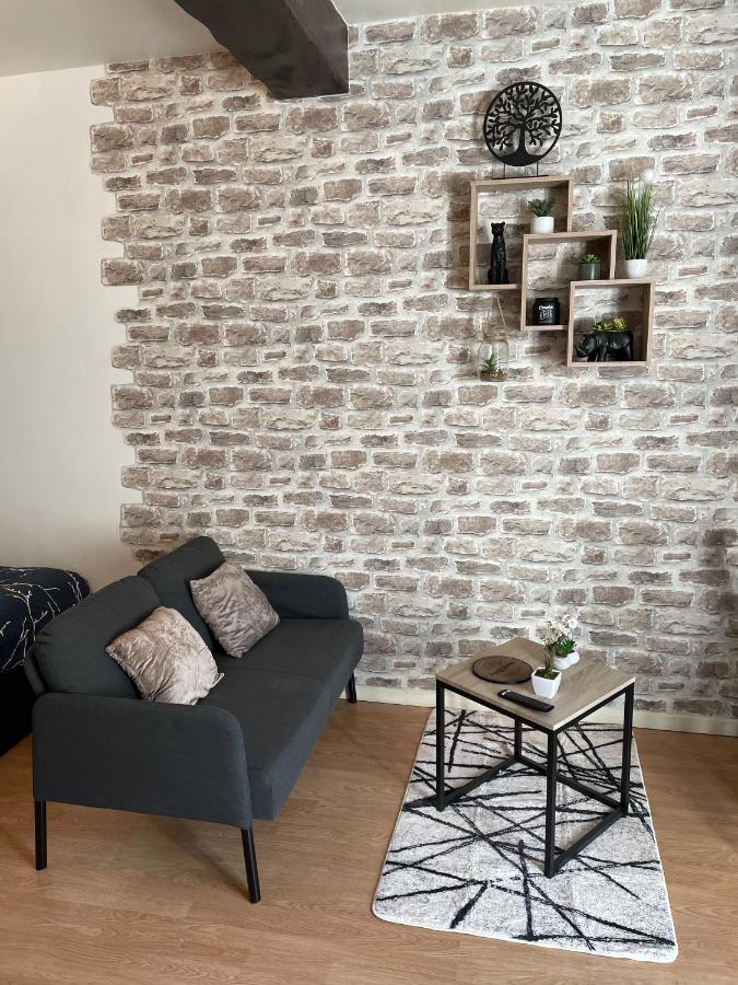 Cosy Studio - 50M Du Loing - Hyper-Centre 莫雷卢安河 外观 照片